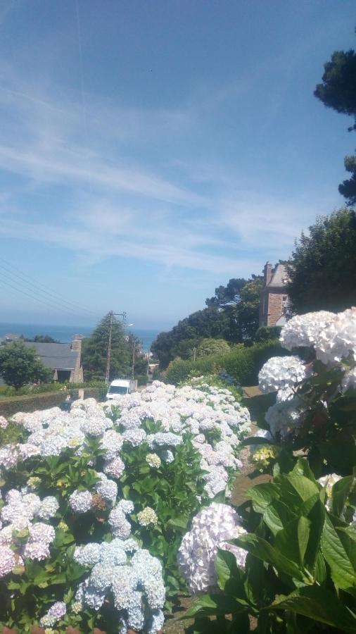 Trestraou - Cote De Granit Rose - Vue - Avec Terrasse ! Holiday home Perros-Guirec