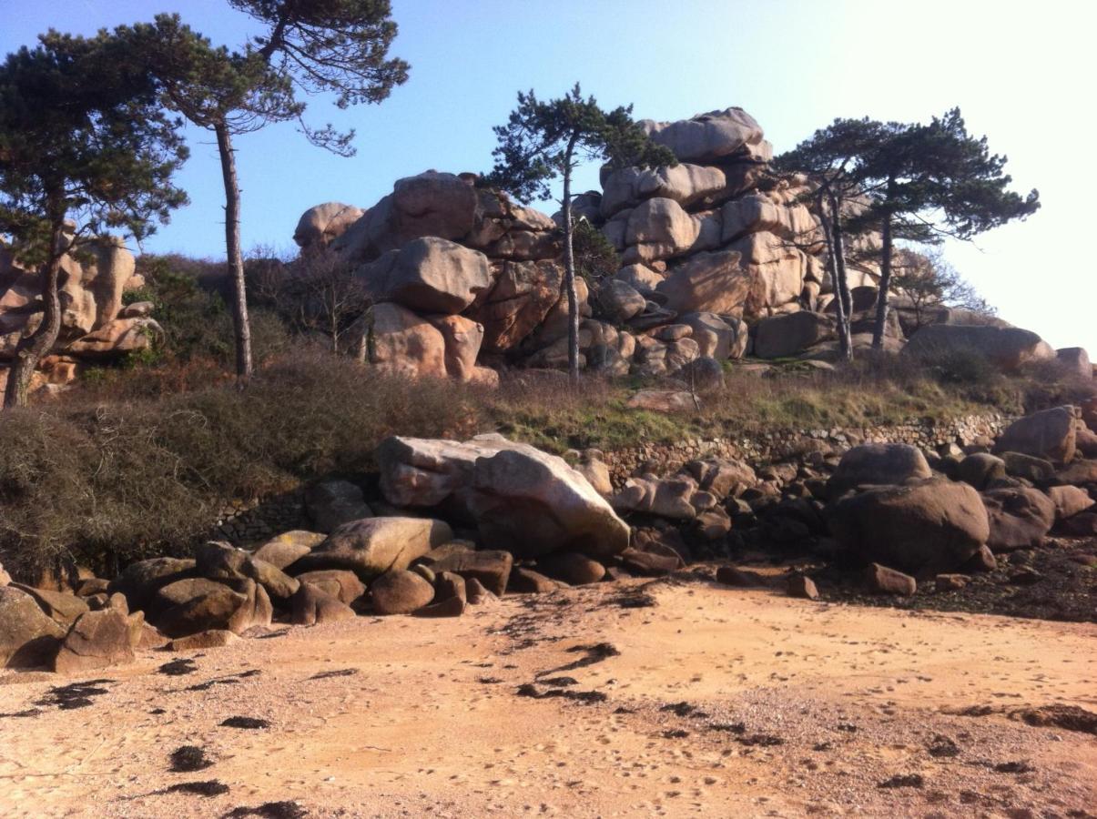 Trestraou - Cote De Granit Rose - Vue - Avec Terrasse ! *